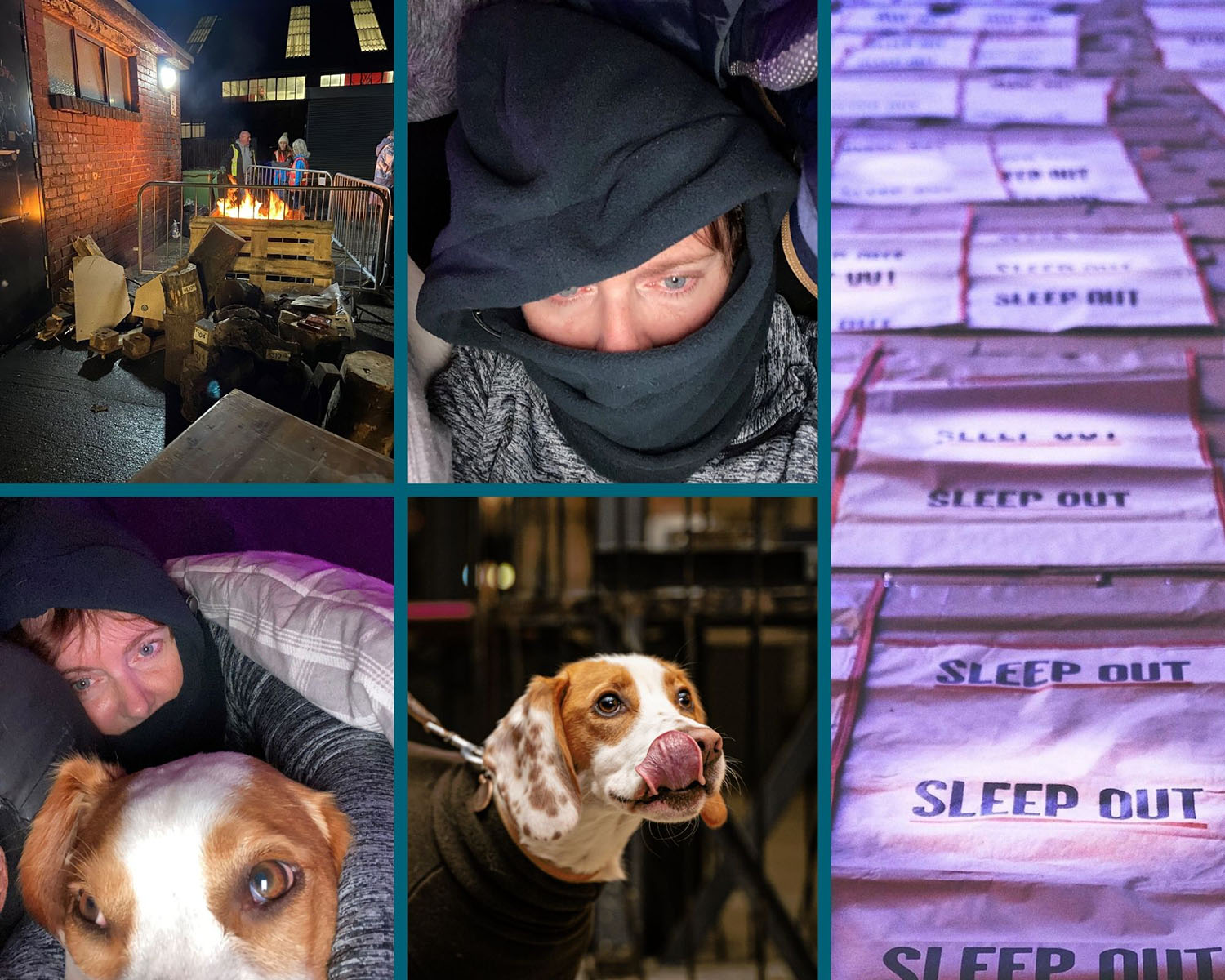 A collage of images of a woman and her dog sleeping outside